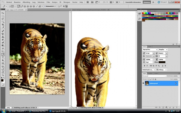 Creation of tiger taking a bath : Step 2